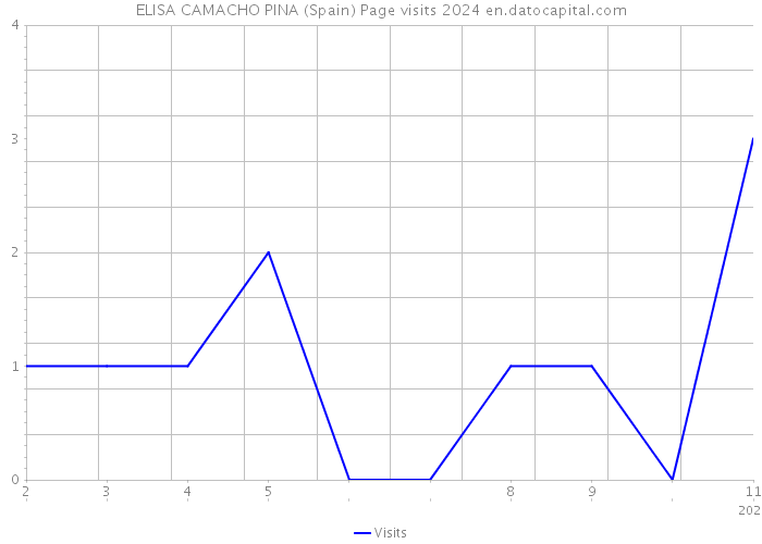 ELISA CAMACHO PINA (Spain) Page visits 2024 