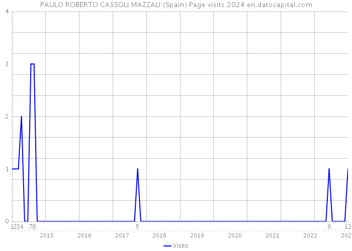 PAULO ROBERTO CASSOLI MAZZALI (Spain) Page visits 2024 