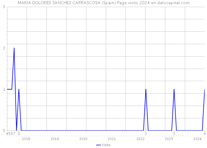 MARIA DOLORES SANCHEZ CARRASCOSA (Spain) Page visits 2024 