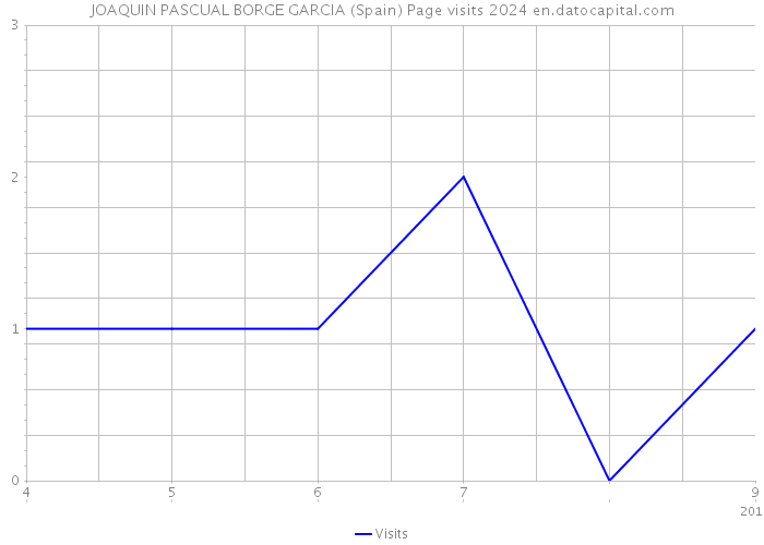 JOAQUIN PASCUAL BORGE GARCIA (Spain) Page visits 2024 