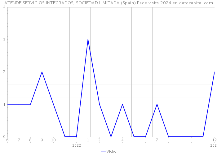 ATENDE SERVICIOS INTEGRADOS, SOCIEDAD LIMITADA (Spain) Page visits 2024 