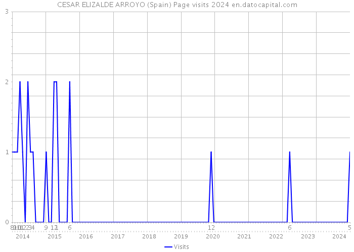 CESAR ELIZALDE ARROYO (Spain) Page visits 2024 