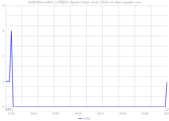 AURORA LARIO CAÑERO (Spain) Page visits 2024 