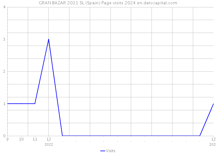 GRAN BAZAR 2021 SL (Spain) Page visits 2024 