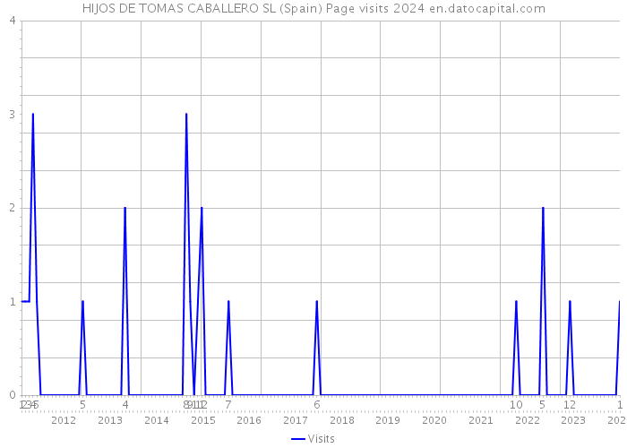HIJOS DE TOMAS CABALLERO SL (Spain) Page visits 2024 
