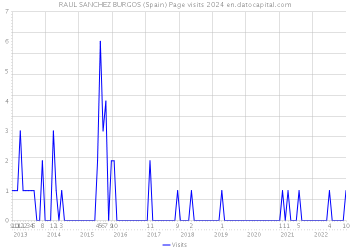 RAUL SANCHEZ BURGOS (Spain) Page visits 2024 