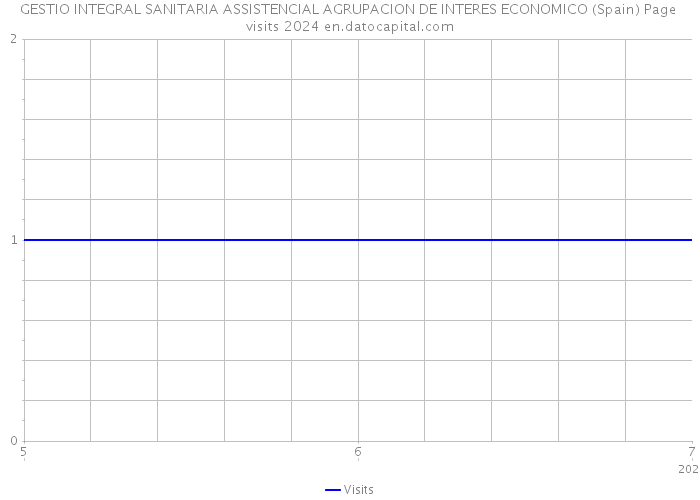 GESTIO INTEGRAL SANITARIA ASSISTENCIAL AGRUPACION DE INTERES ECONOMICO (Spain) Page visits 2024 