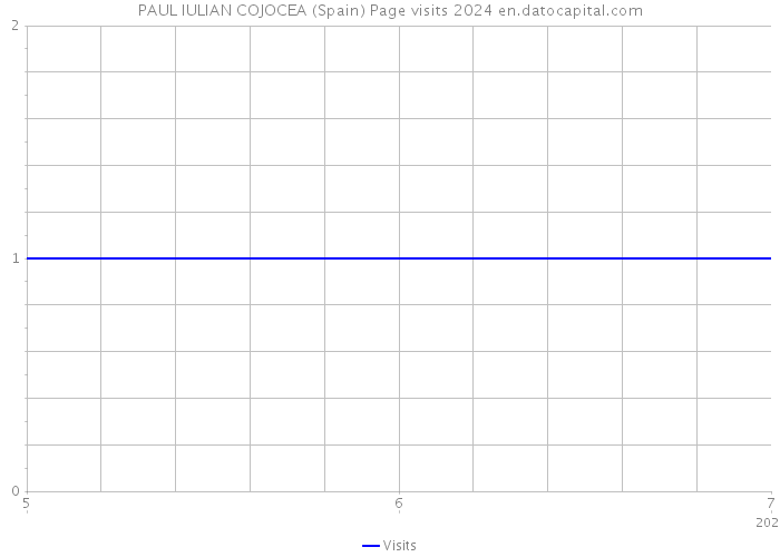 PAUL IULIAN COJOCEA (Spain) Page visits 2024 