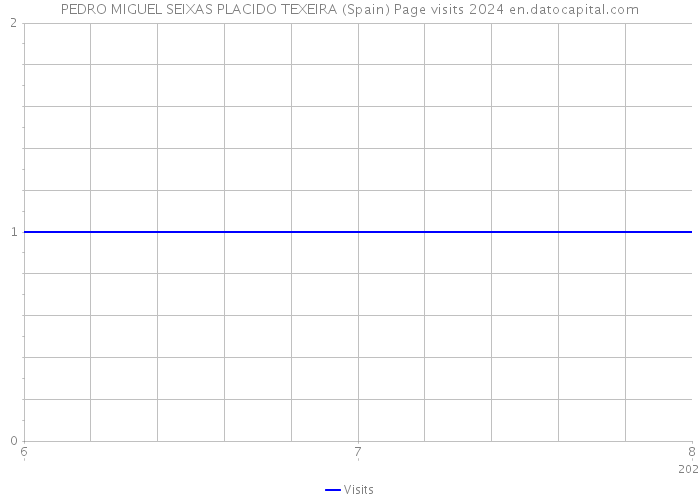 PEDRO MIGUEL SEIXAS PLACIDO TEXEIRA (Spain) Page visits 2024 