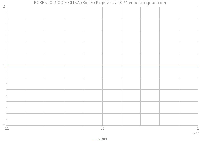 ROBERTO RICO MOLINA (Spain) Page visits 2024 