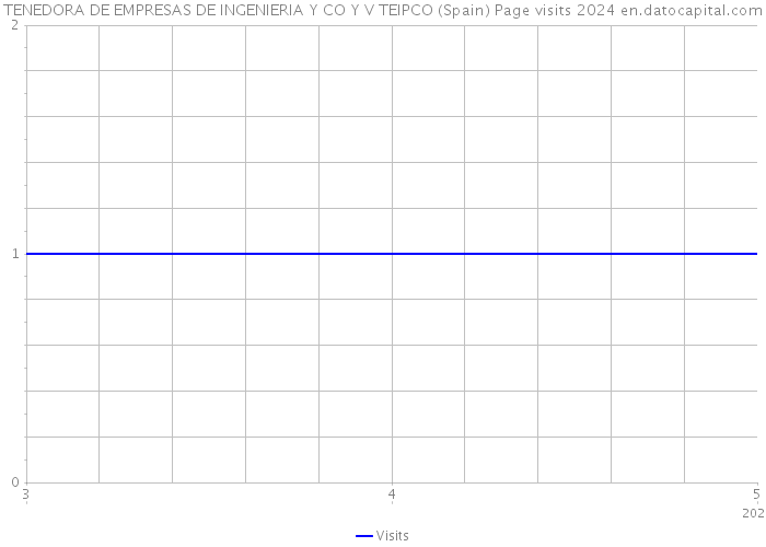 TENEDORA DE EMPRESAS DE INGENIERIA Y CO Y V TEIPCO (Spain) Page visits 2024 