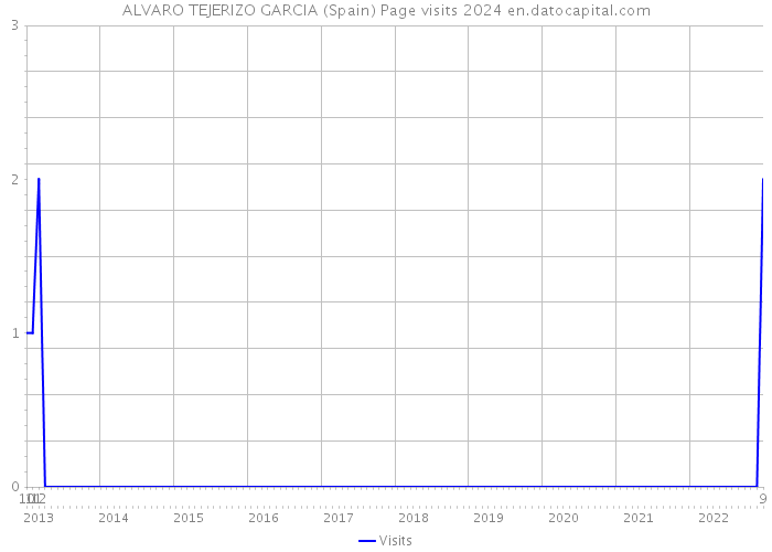 ALVARO TEJERIZO GARCIA (Spain) Page visits 2024 