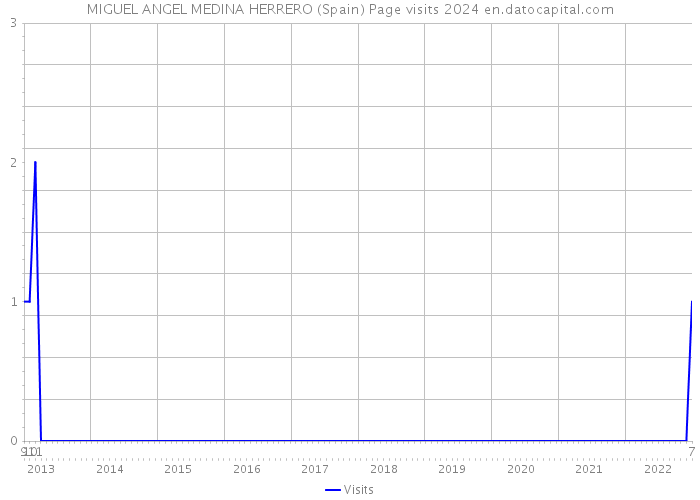 MIGUEL ANGEL MEDINA HERRERO (Spain) Page visits 2024 