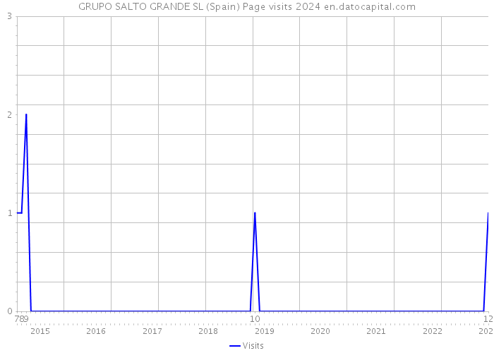 GRUPO SALTO GRANDE SL (Spain) Page visits 2024 
