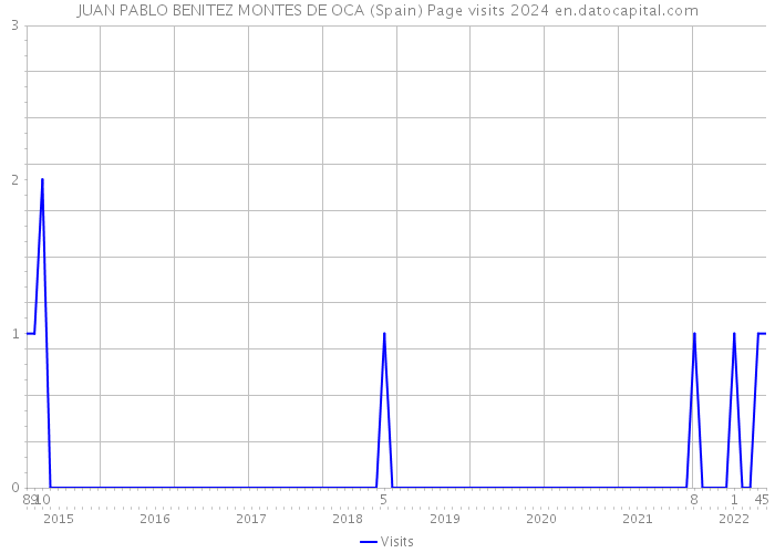 JUAN PABLO BENITEZ MONTES DE OCA (Spain) Page visits 2024 
