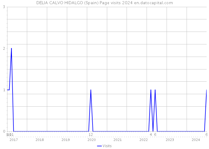 DELIA CALVO HIDALGO (Spain) Page visits 2024 