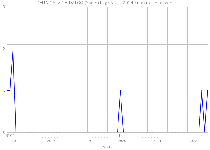 DELIA CALVO HIDALGO (Spain) Page visits 2024 