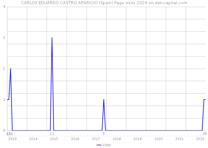 CARLOS EDUARDO CASTRO APARICIO (Spain) Page visits 2024 