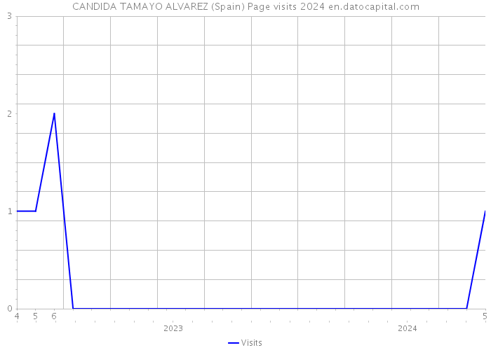 CANDIDA TAMAYO ALVAREZ (Spain) Page visits 2024 