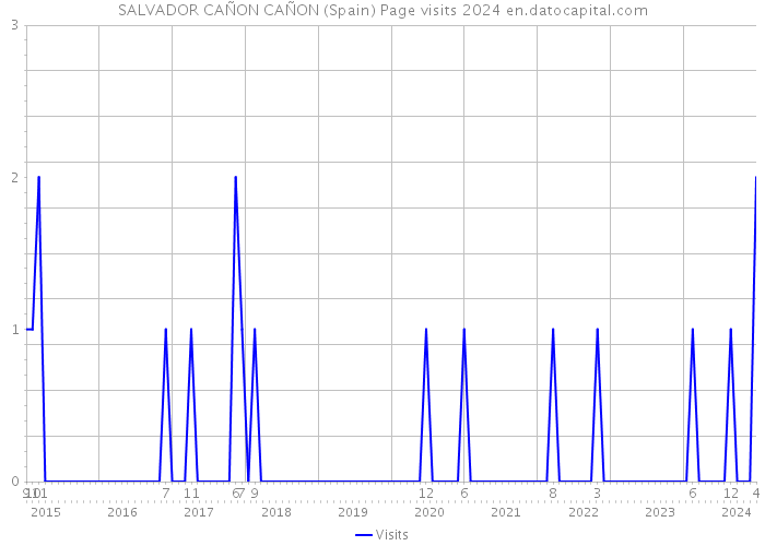 SALVADOR CAÑON CAÑON (Spain) Page visits 2024 