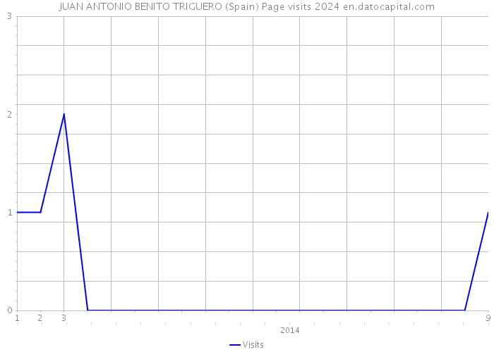 JUAN ANTONIO BENITO TRIGUERO (Spain) Page visits 2024 