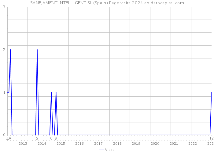 SANEJAMENT INTEL LIGENT SL (Spain) Page visits 2024 