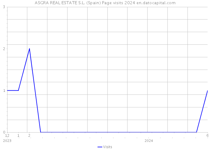 ASGRA REAL ESTATE S.L. (Spain) Page visits 2024 