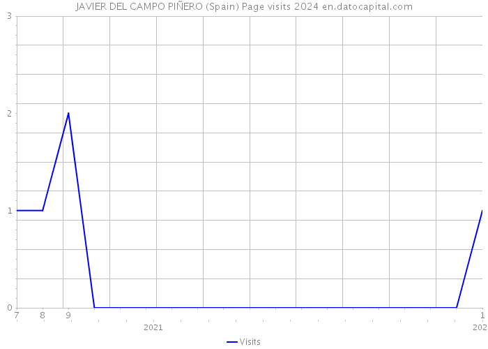 JAVIER DEL CAMPO PIÑERO (Spain) Page visits 2024 