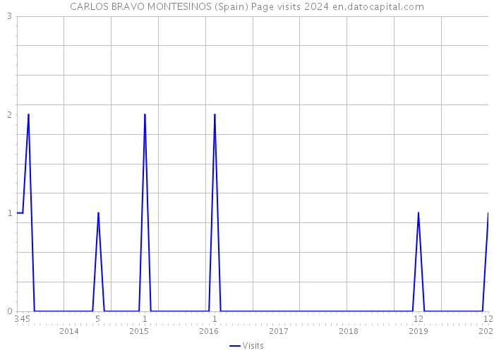 CARLOS BRAVO MONTESINOS (Spain) Page visits 2024 