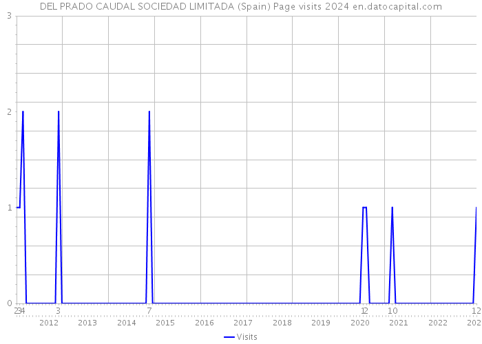 DEL PRADO CAUDAL SOCIEDAD LIMITADA (Spain) Page visits 2024 