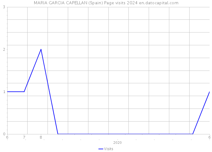 MARIA GARCIA CAPELLAN (Spain) Page visits 2024 