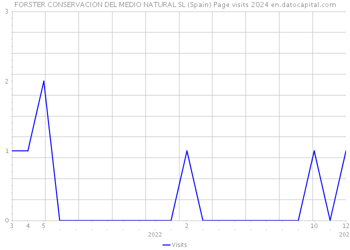 FORSTER CONSERVACION DEL MEDIO NATURAL SL (Spain) Page visits 2024 
