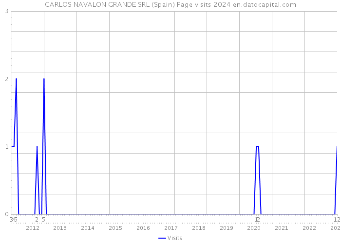 CARLOS NAVALON GRANDE SRL (Spain) Page visits 2024 