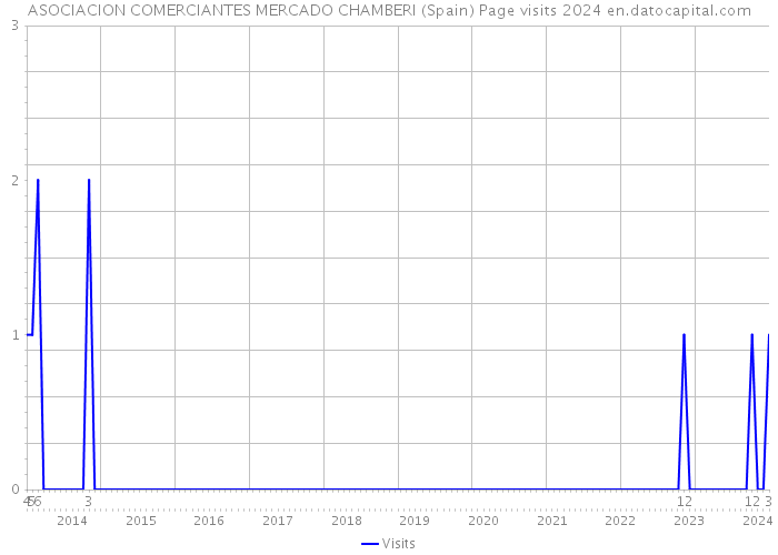 ASOCIACION COMERCIANTES MERCADO CHAMBERI (Spain) Page visits 2024 
