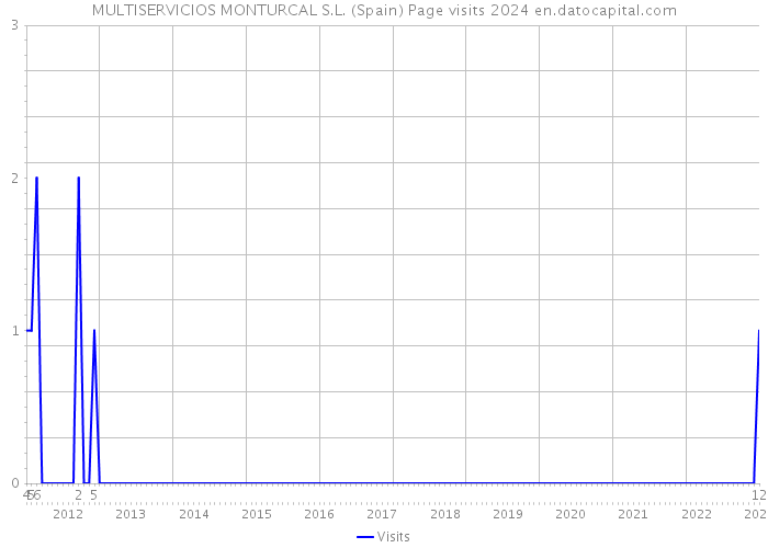 MULTISERVICIOS MONTURCAL S.L. (Spain) Page visits 2024 