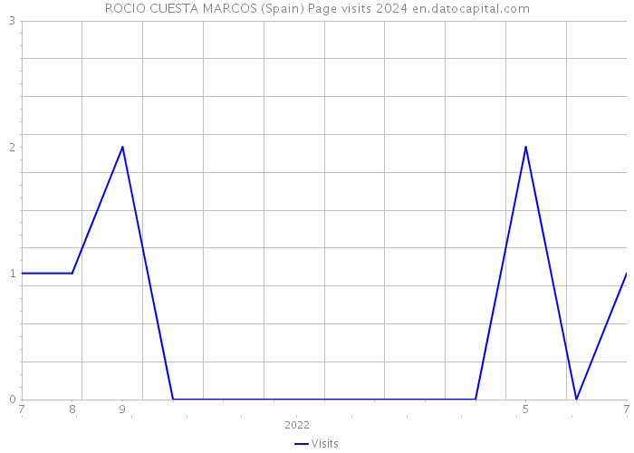 ROCIO CUESTA MARCOS (Spain) Page visits 2024 