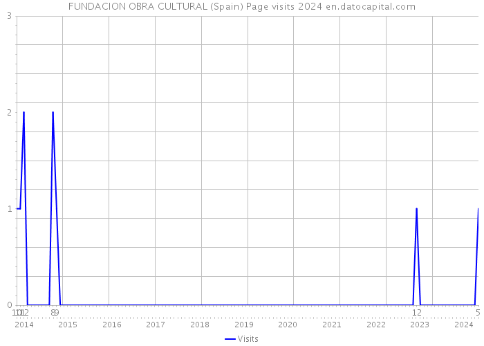 FUNDACION OBRA CULTURAL (Spain) Page visits 2024 