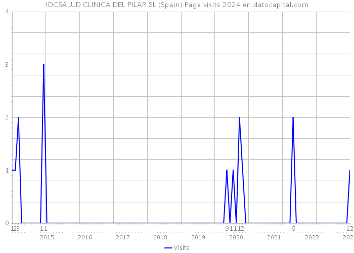 IDCSALUD CLINICA DEL PILAR SL (Spain) Page visits 2024 