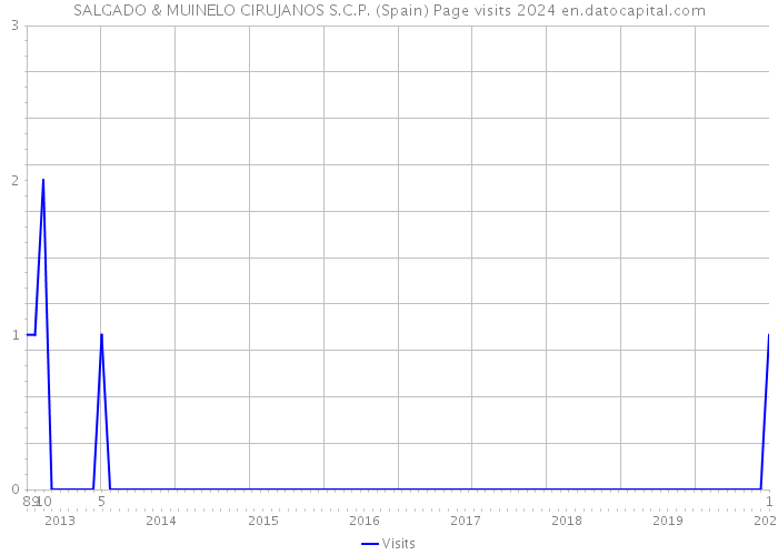 SALGADO & MUINELO CIRUJANOS S.C.P. (Spain) Page visits 2024 