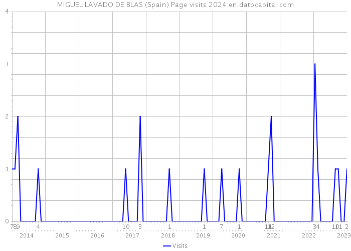 MIGUEL LAVADO DE BLAS (Spain) Page visits 2024 