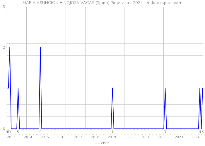 MARIA ASUNCION HINOJOSA VACAS (Spain) Page visits 2024 