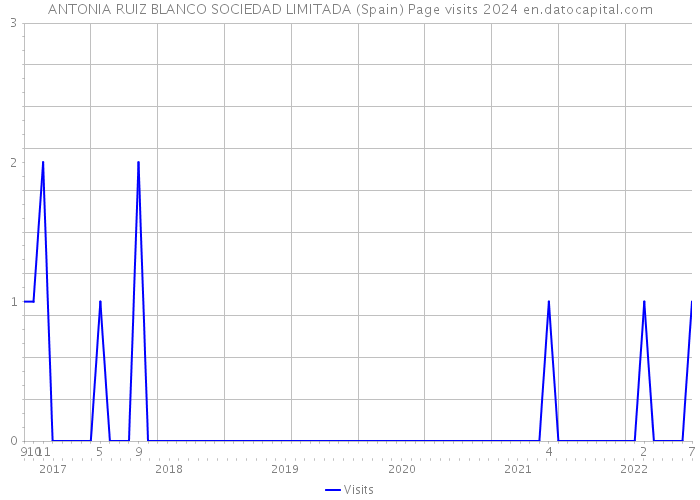 ANTONIA RUIZ BLANCO SOCIEDAD LIMITADA (Spain) Page visits 2024 