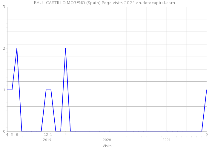 RAUL CASTILLO MORENO (Spain) Page visits 2024 