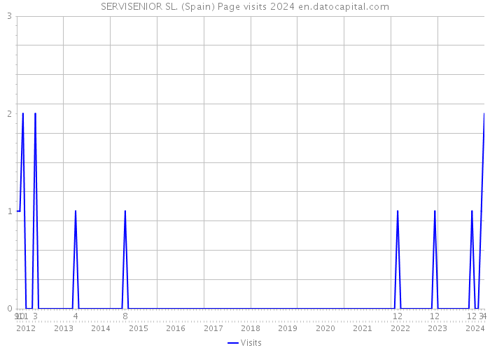 SERVISENIOR SL. (Spain) Page visits 2024 