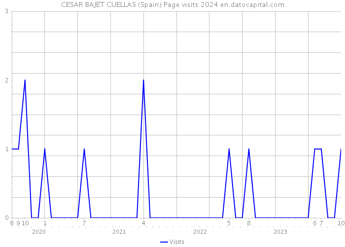 CESAR BAJET CUELLAS (Spain) Page visits 2024 