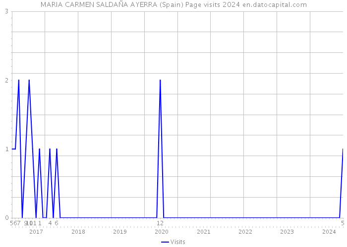 MARIA CARMEN SALDAÑA AYERRA (Spain) Page visits 2024 