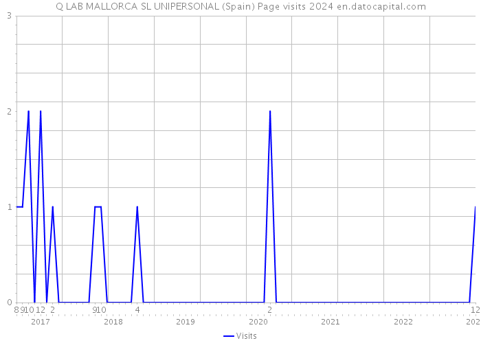 Q LAB MALLORCA SL UNIPERSONAL (Spain) Page visits 2024 