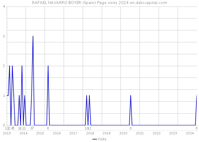 RAFAEL NAVARRO BOYER (Spain) Page visits 2024 