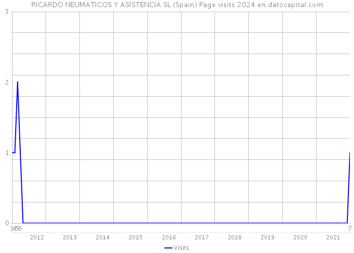 RICARDO NEUMATICOS Y ASISTENCIA SL (Spain) Page visits 2024 