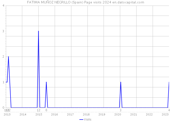 FATIMA MUÑOZ NEGRILLO (Spain) Page visits 2024 